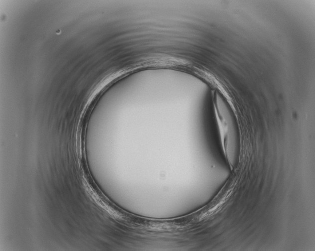 X0000086300843200704271825