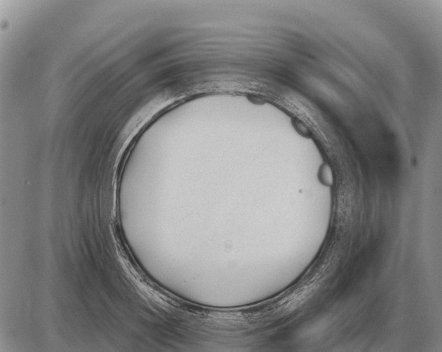 X0000086300844200704271825