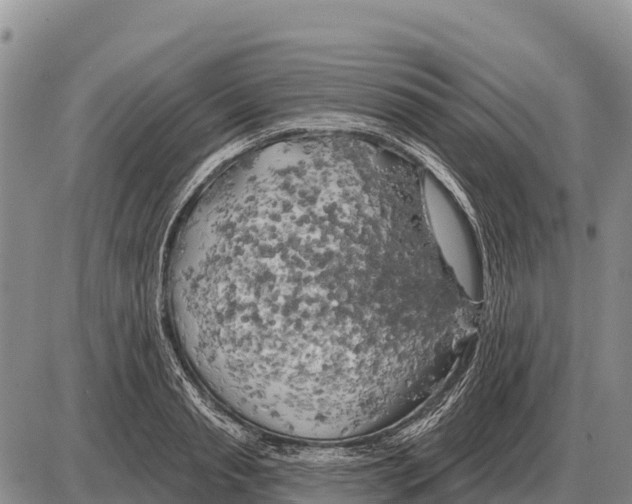 X0000086300845200704271825