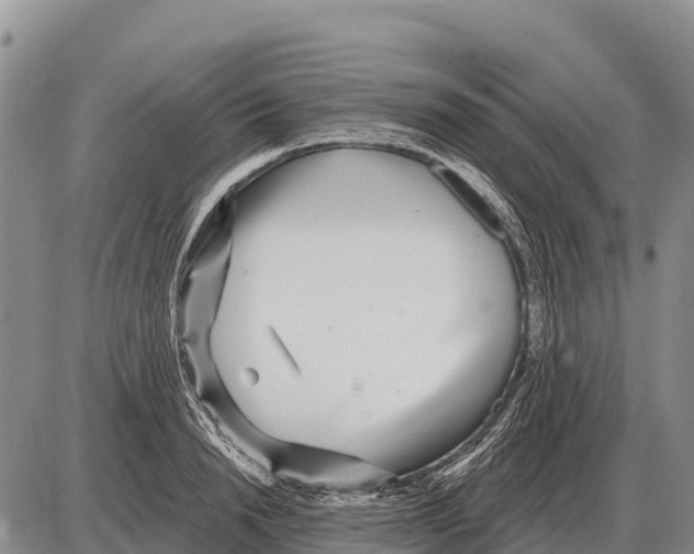 X0000086300846200704271825