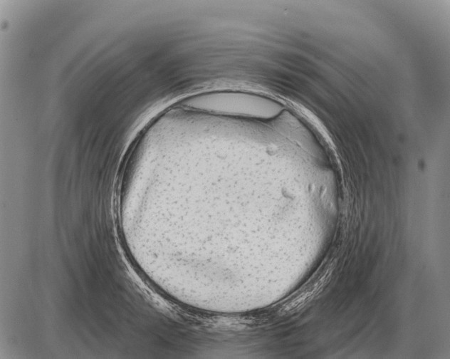 X0000086300847200704271825