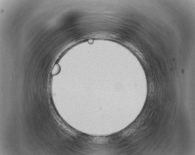 X0000086300848200704271825