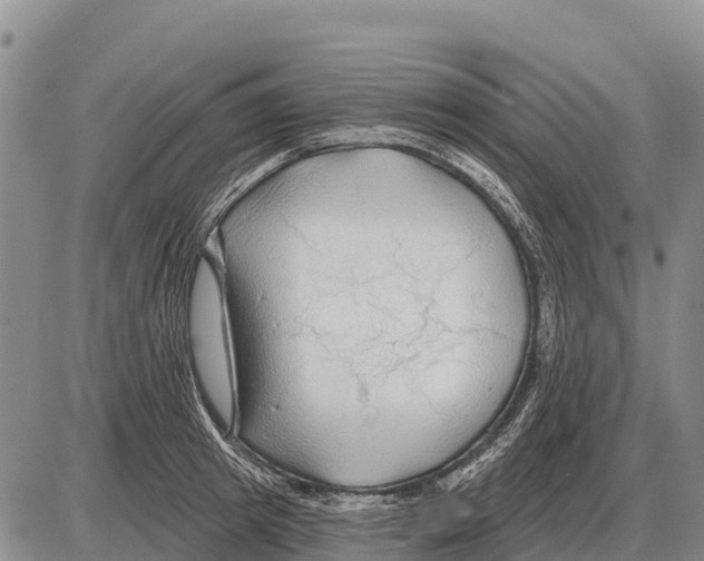 X0000086300849200704271825