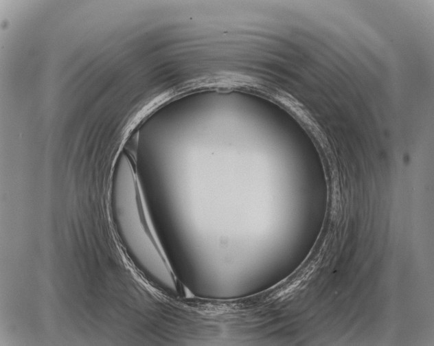 X0000086300850200704271825