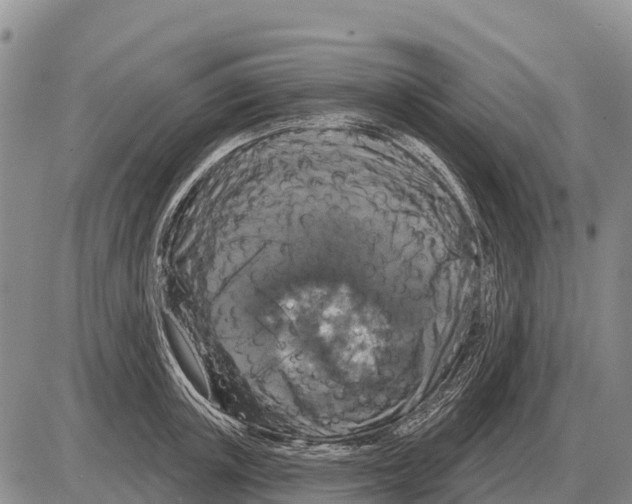 X0000086300851200704271825