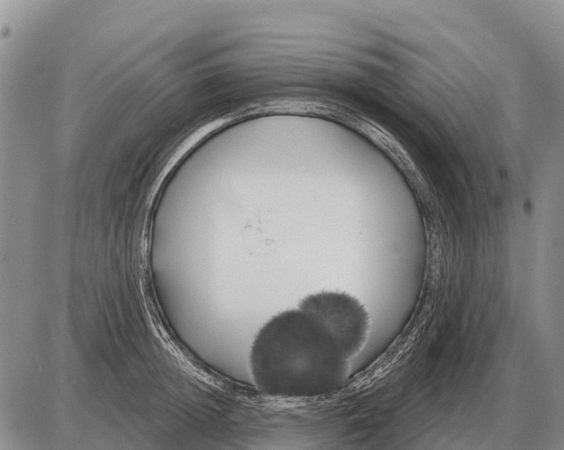 X0000086300852200704271825