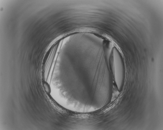 X0000086300853200704271825