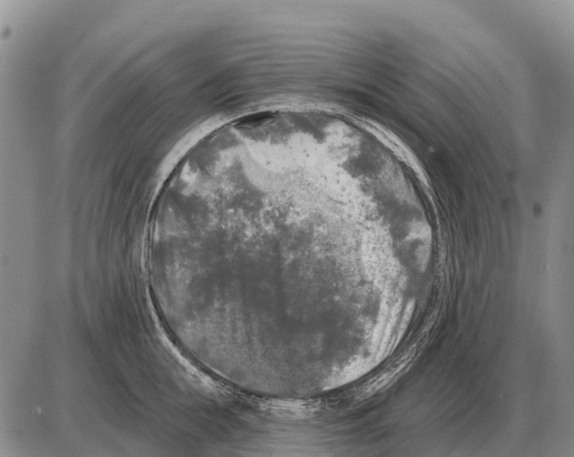 X0000086300855200704271825