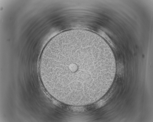 X0000086300856200704271825