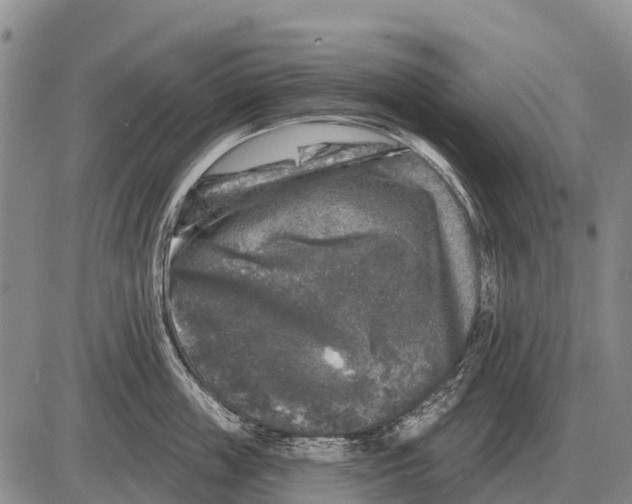 X0000086300859200704271825