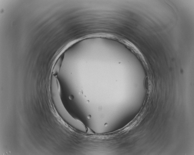 X0000086300860200704271825