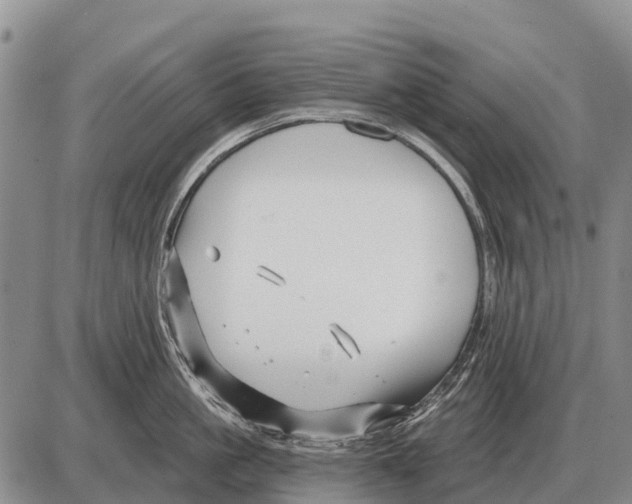 X0000086300861200704271825