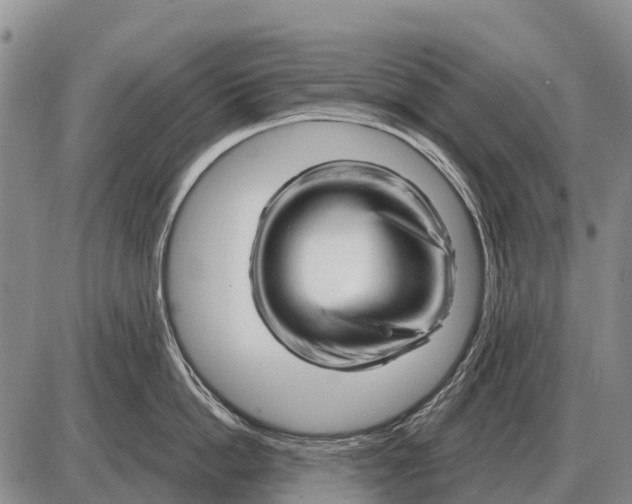 X0000086300862200704271825