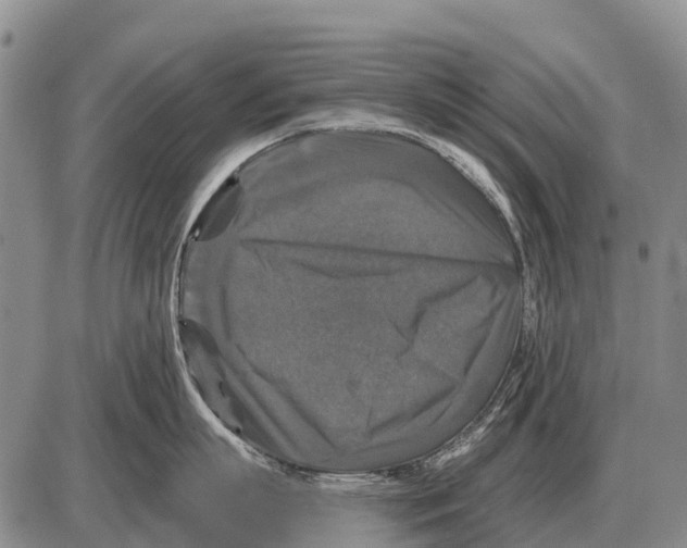 X0000086300863200704271825