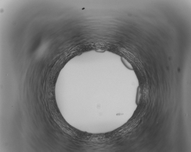 X0000086300865200704271824