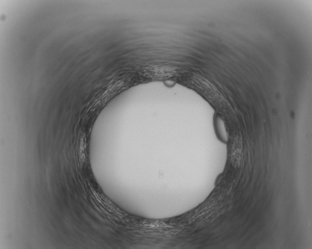 X0000086300866200704271824