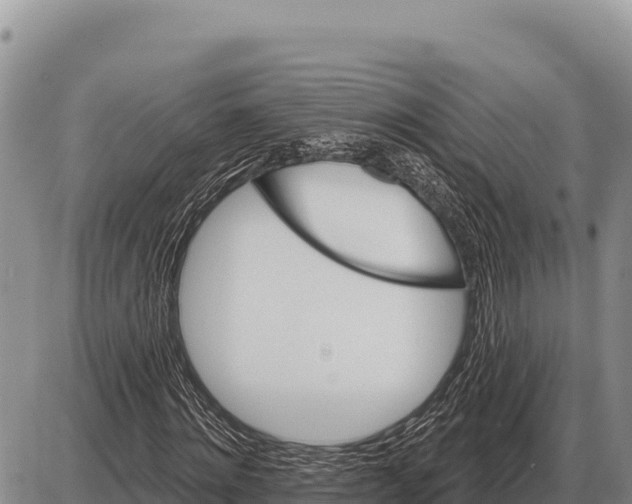 X0000086300868200704271824