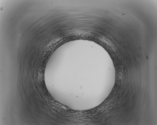 X0000086300869200704271824