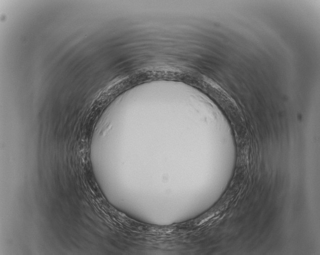 X0000086300870200704271824