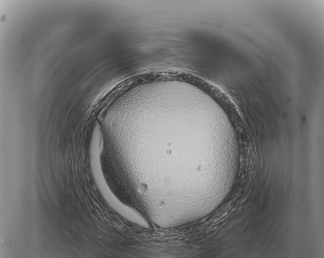 X0000086300871200704271824