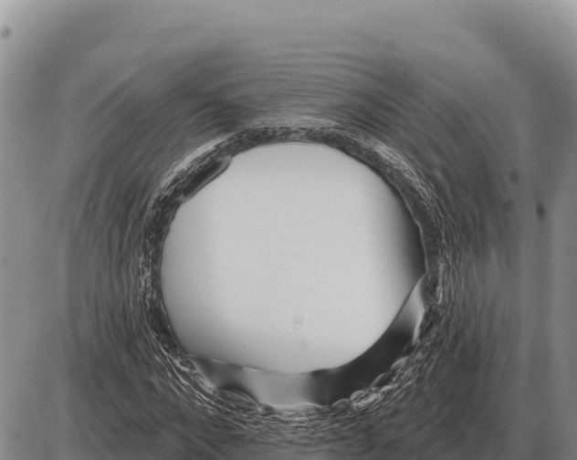 X0000086300872200704271824