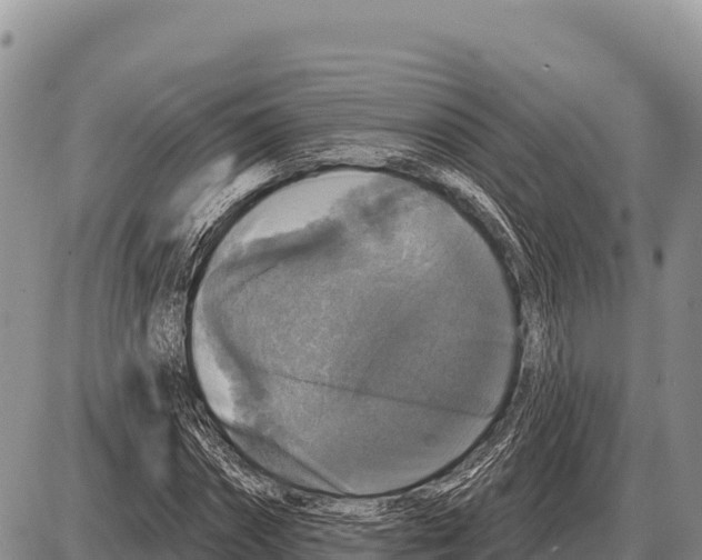 X0000086300874200704271824