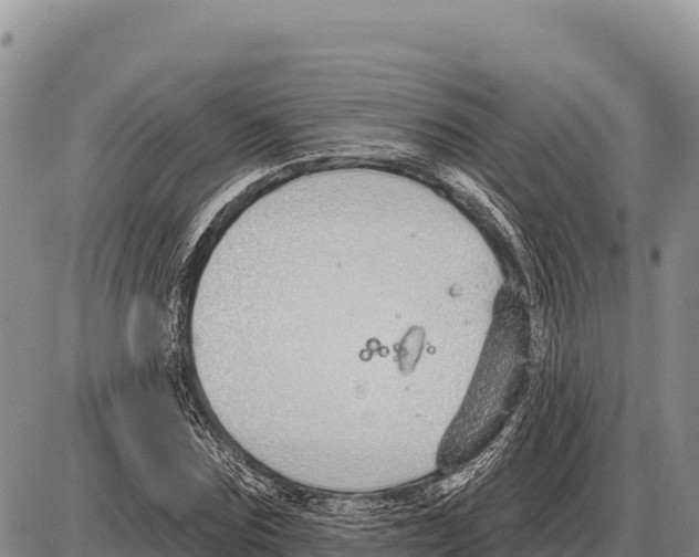 X0000086300875200704271824