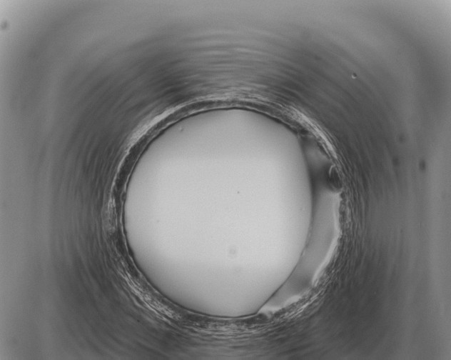 X0000086300876200704271824