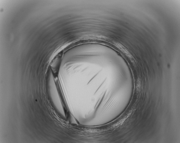 X0000086300877200704271824