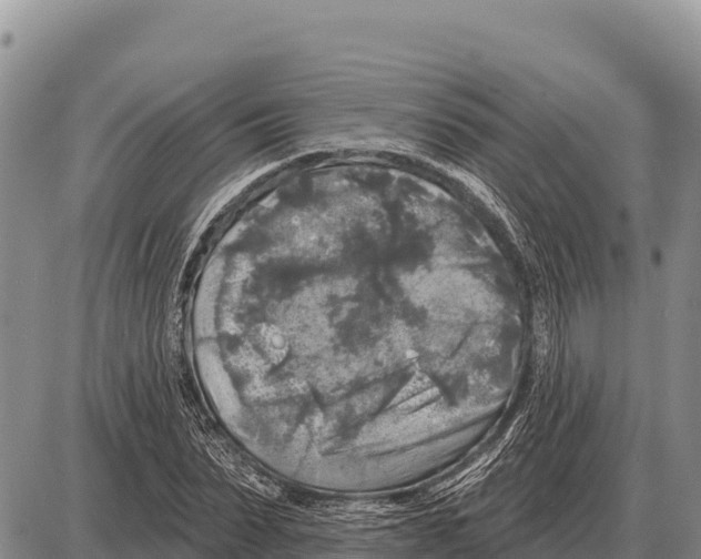 X0000086300879200704271824