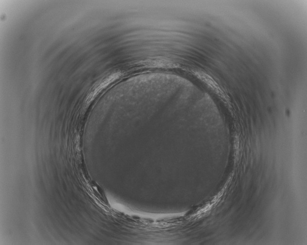 X0000086300881200704271824