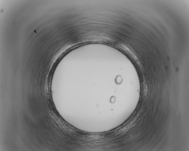 X0000086300883200704271824