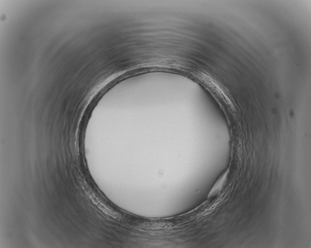 X0000086300884200704271824