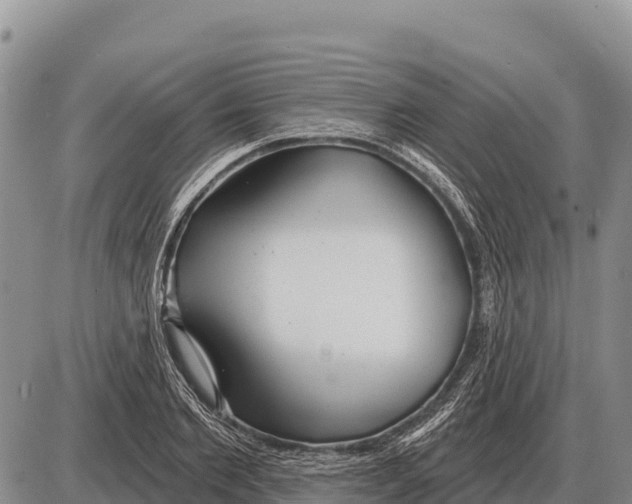 X0000086300885200704271824