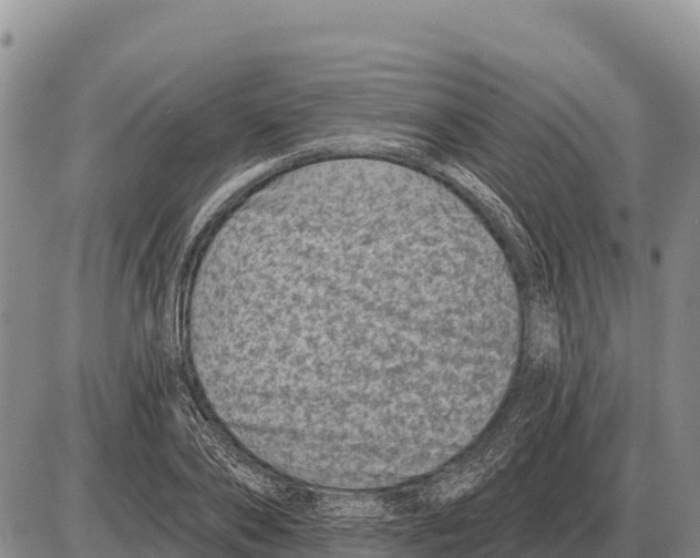 X0000086300886200704271824