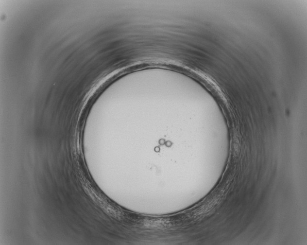 X0000086300887200704271824