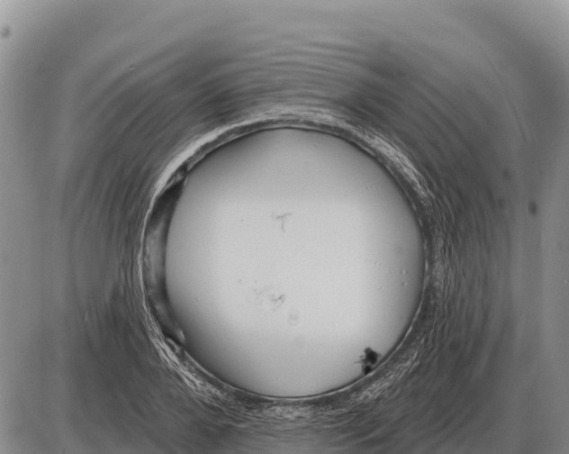 X0000086300888200704271824