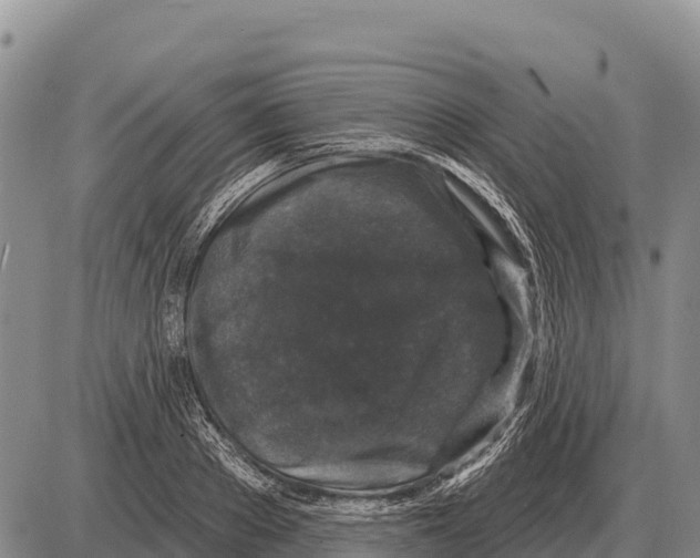 X0000086300889200704271824