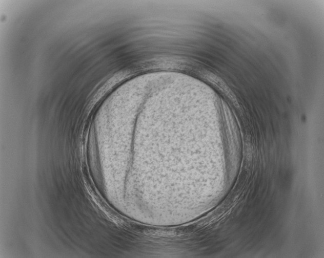 X0000086300890200704271824