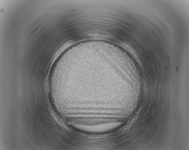 X0000086300891200704271824