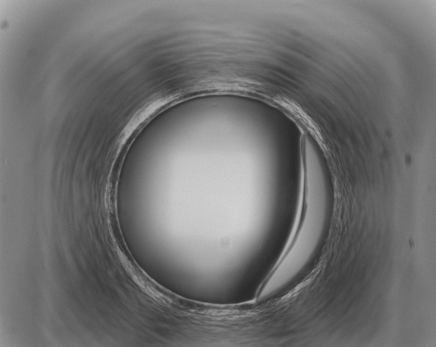 X0000086300893200704271824