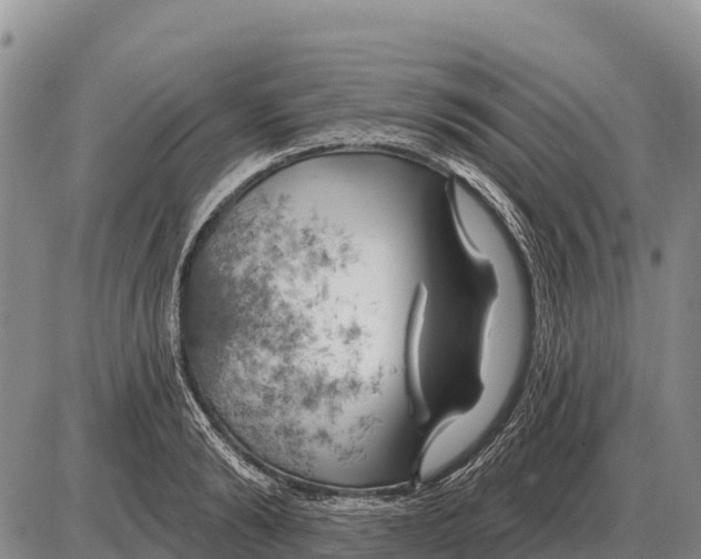 X0000086300894200704271824