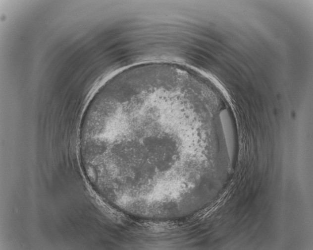 X0000086300895200704271824