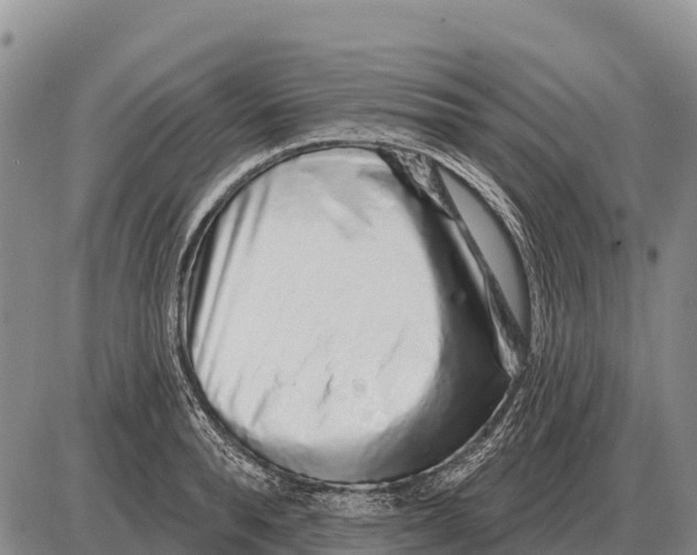 X0000086300896200704271824