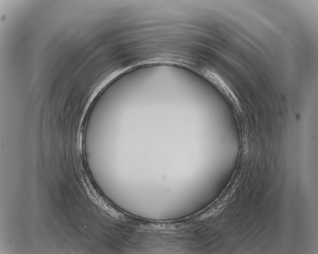 X0000086300900200704271824