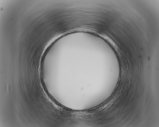 X0000086300902200704271824