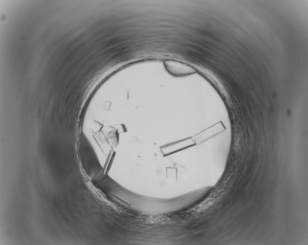 X0000086300903200704271824