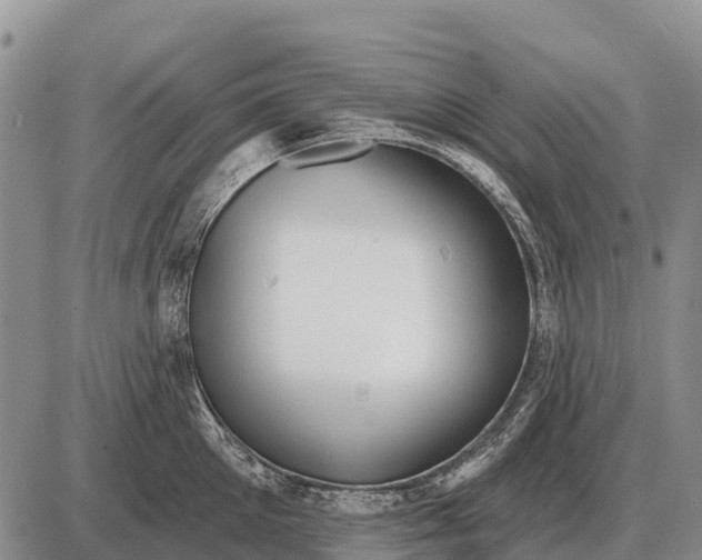 X0000086300905200704271824