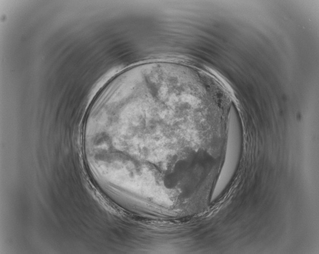 X0000086300907200704271824