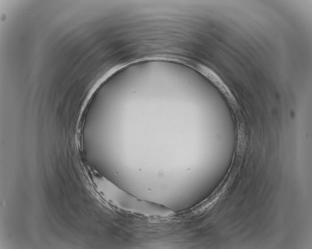 X0000086300908200704271824